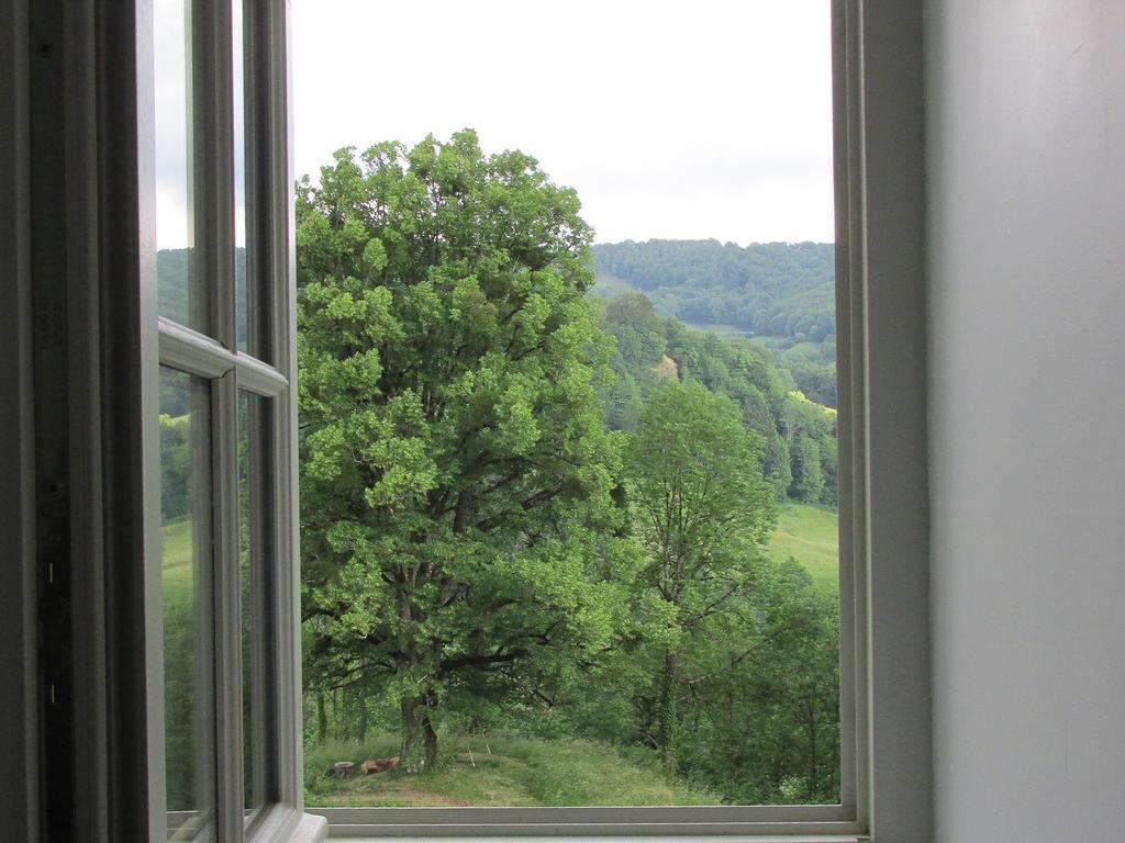 Domaine de la Jordanne - B&B Saint-Cirgues-de-Jordanne Chambre photo