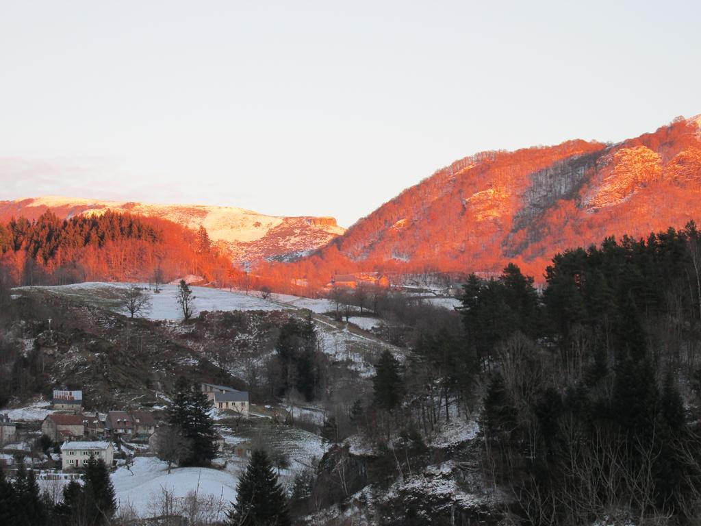 Domaine de la Jordanne - B&B Saint-Cirgues-de-Jordanne Extérieur photo