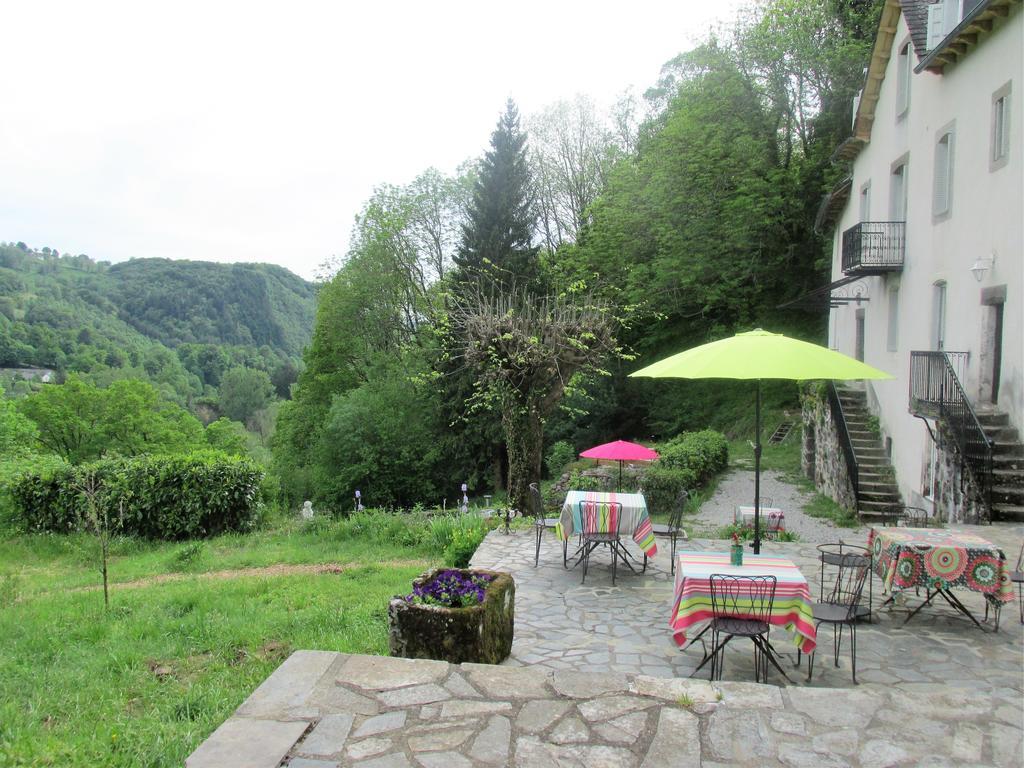 Domaine de la Jordanne - B&B Saint-Cirgues-de-Jordanne Extérieur photo
