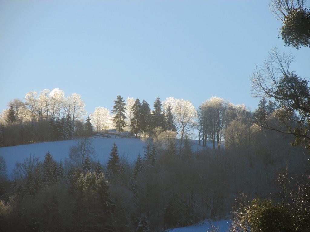 Domaine de la Jordanne - B&B Saint-Cirgues-de-Jordanne Extérieur photo